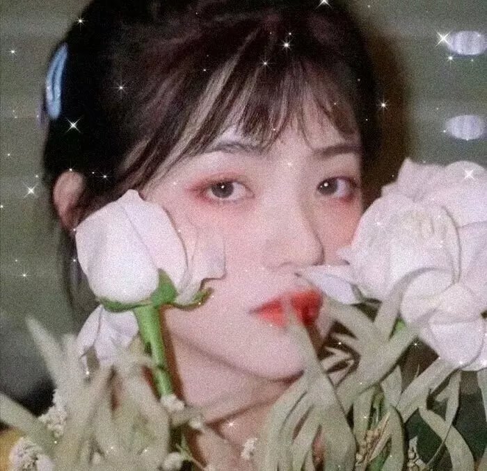 电影海报 - 征服者